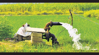 The study assessed heavy metal contamination in vegetables grown on the Yamuna floodplains and the potential health risks associated with consuming them. (HT)