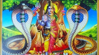 ২০২৬ নাগপঞ্চমী রয়েছে আগস্ট মাসে, দেখে নিন তারিখ, তিথি ২০২৬ নাগপঞ্চমী রয়েছে আগস্ট মাসে, দেখে নিন তারিখ, তিথি