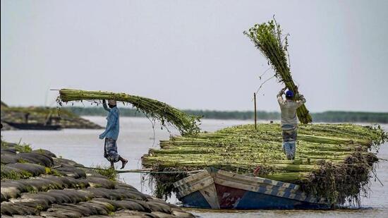 1,36,203 persons in five districts were still affected while 10,844 persons were taking shelter in relief camps. (PTI photo)