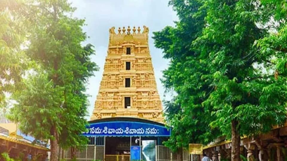 <p>ప్రసిద్ధ పుణ్యక్షేత్రం శ్రీశైలంలో శ్రీ భ్రమరాంబ సమేత మల్లికార్జునస్వామివార్ల దర్శనార్థం వచ్చే ప్రముఖులకు దేవస్థానం పాలకమండలి కీలక సూచనలు చేసింది. స్వామివారి దర్శనం, వసతి గదుల కోసం తీసుకువచ్చే సిఫార్సు లేఖలను కనీసం రెండు రోజుల ముందే ఆలయ అధికారులకు అందజేయాలని నిర్ణయించింది.</p><p> </p>