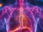 Lung cancer in India: Dr Manish Singhal says late detection remains the biggest challenge. (Freepik)