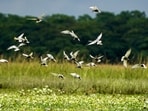 The projects cleared, included a special case, a proposal to use 2.18 hectares of forest land from Kambalakonda Wildlife Sanctuary for a road connecting to National Highway-16.