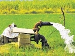 The study assessed heavy metal contamination in vegetables grown on the Yamuna floodplains and the potential health risks associated with consuming them. (HT)
