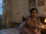 Mosquitoes are attracted to certain chemical signals that humans naturally produce. (AI-generated image)