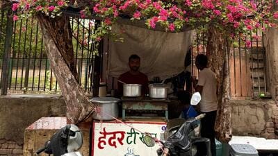 Delhiwale: Beyond the merely picturesque Delhiwale: Beyond the merely picturesque