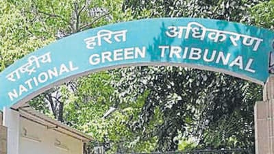 Sangam Vihar sewer work hit by curbs on forest land: Delhi Jal Board tells NGT Sangam Vihar sewer work hit by curbs on forest land: Delhi Jal Board tells NGT