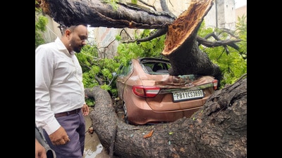 A tree fell over a vehicle following a continuous downpour and strong winds in Patiala on Tuesday. (ANI) A tree fell over a vehicle following a continuous downpour and strong winds in Patiala on Tuesday. (ANI)