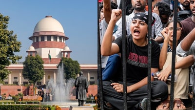 The court’s clarification was welcomed by the Cockroach Janta Party (source:PTI) The court’s clarification was welcomed by the Cockroach Janta Party (source:PTI)