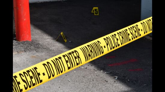 Investigators speculate her murder was linked to the theft of her car. (Representative Photo/Pexel)
