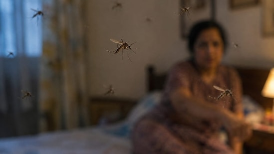 Mosquitoes are attracted to certain chemical signals that humans naturally produce. (AI-generated image)