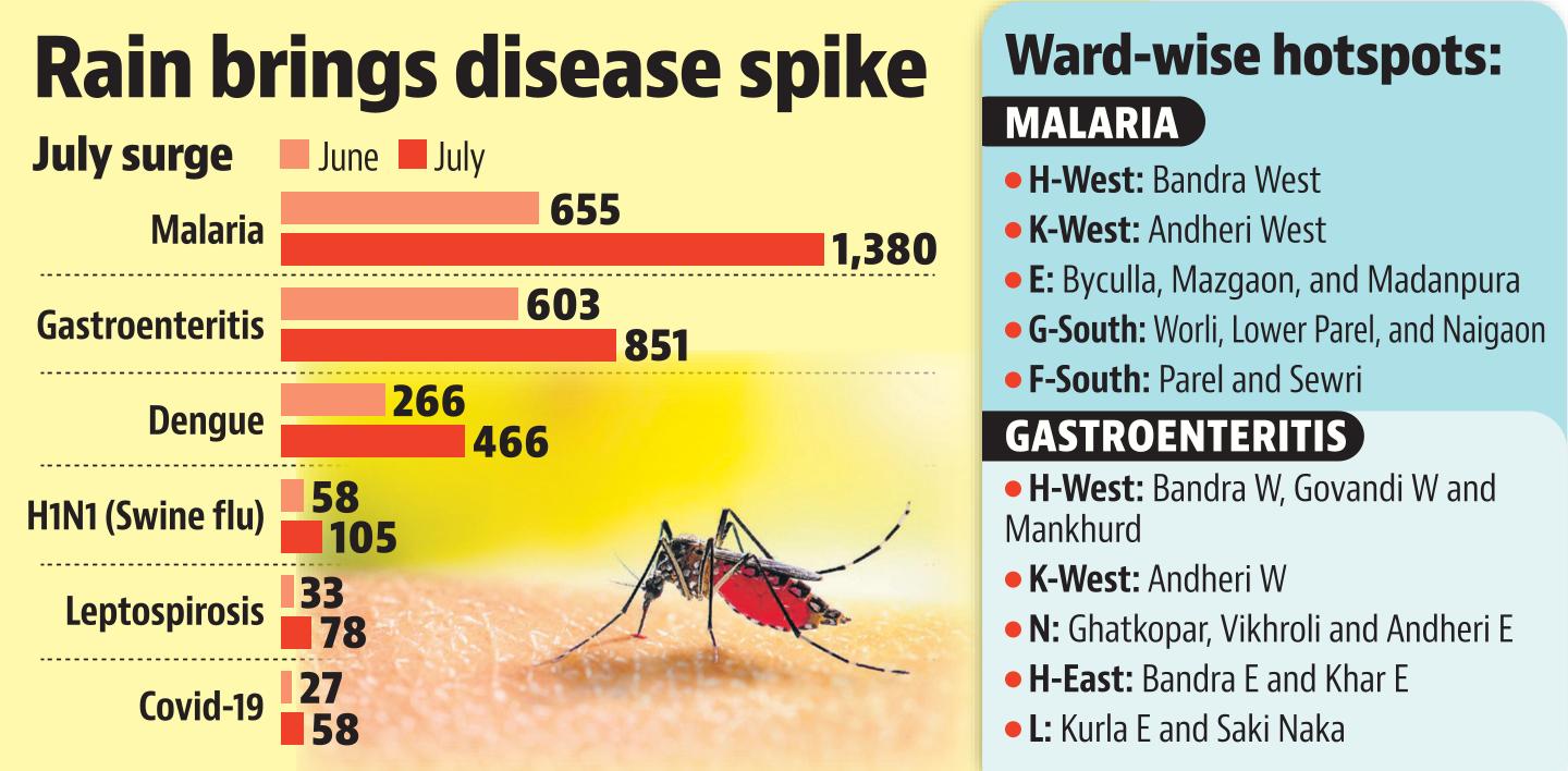 Mumbai's monsoon illnesses in numbers Mumbai's monsoon illnesses in numbers