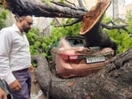 A tree fell over a vehicle following a continuous downpour and strong winds in Patiala on Tuesday. (ANI)