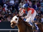 Robby Albarado dies at 52.(AP Photo/Danny Johnston)