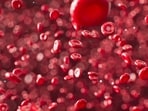 Read more to find out ways to lower ApoB in your bloodstream.(Unsplash)