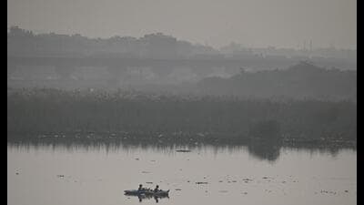 According to a Central government survey conducted between 2020 and 2024, a total of 126 fish species were recorded along the Yamuna from Yamunotri to Prayagraj. (RAJ K RAJ /HT PHOTO) According to a Central government survey conducted between 2020 and 2024, a total of 126 fish species were recorded along the Yamuna from Yamunotri to Prayagraj. (RAJ K RAJ /HT PHOTO)