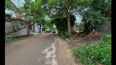 The RWA alleged substandard construction, poor park maintenance and insufficient desilting, while officials said inspections and corrective work would follow. (Parveen Kumar/HT)