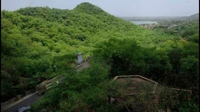 The committee will be submitting a detailed report on the Aravalli hills and ranges – covering all its issues, including its definition – by August 31. (Representative photo) The committee will be submitting a detailed report on the Aravalli hills and ranges – covering all its issues, including its definition – by August 31. (Representative photo)