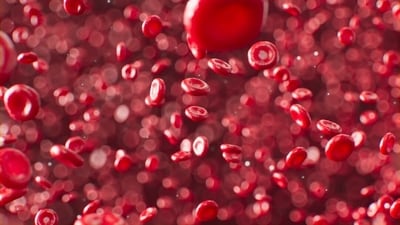 Read more to find out ways to lower ApoB in your bloodstream. (Unsplash) Read more to find out ways to lower ApoB in your bloodstream. (Unsplash)