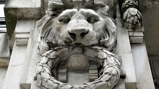 8/8 Lion's Gate Portal 2026: Why experts consider  it a culmination time