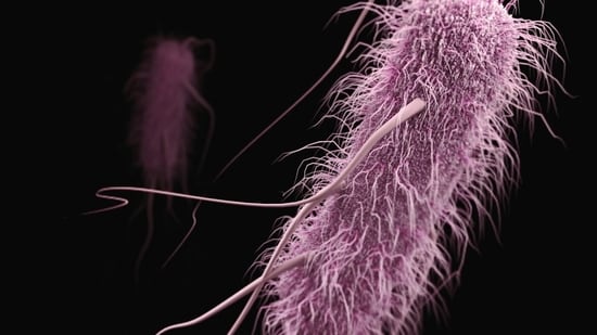 Lethal fungus Candida auris reported in 23 states, with over 3,000 cases in 2026, primarily affecting hospital patients, particularly those with compromised immune systems.