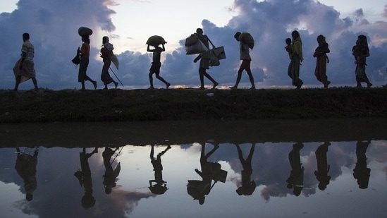 To save the asylum system, reform it