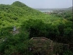 The committee will be submitting a detailed report on the Aravalli hills and ranges – covering all its issues, including its definition – by August 31. (Representative photo)