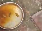 The meal served to students at a Sitapur government school recently (Sourced)