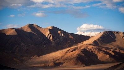 Officials said Ladakh is home to India's largest snow leopard population, with 477 of the country's estimated 718 snow leopards. (Representational Photo/Unsplash) Officials said Ladakh is home to India's largest snow leopard population, with 477 of the country's estimated 718 snow leopards. (Representational Photo/Unsplash)
