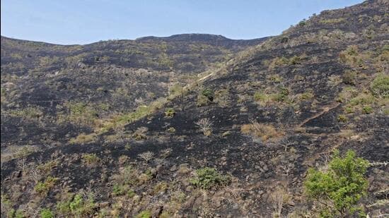 Pune Municipal Corporation has been instructed to launch investigation into complaints of hill quarrying and immediately stop any work found to be in violation of rules pending inquiry. ((PIC FOR REPRESENTATION))