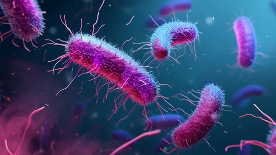 Salmonella outbreak linked to jalapeno peppers from Mexico sickens 345 people in 27 US states.
