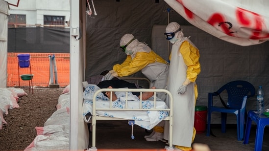 Chandipura virus is an emerging arbovirus transmitted primarily by sandflies (Representative/AFP)