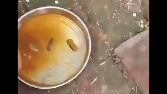 The meal served to students at a Sitapur government school recently (Sourced)