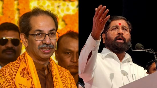 The statement comes after observations while hearing the challenges between the two Shiv Sena factions (PTI)