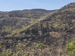 Pune Municipal Corporation has been instructed to launch investigation into complaints of hill quarrying and immediately stop any work found to be in violation of rules pending inquiry. ((PIC FOR REPRESENTATION))