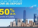 Why DCB Bank FCNR (B) Deposits Are Becoming a Preferred Choice for NRIs Looking to Earn in USD?
