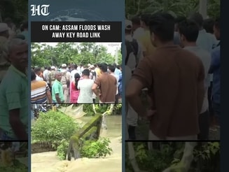 Watch: Heavy Flooding In Assam Washes Away Major Road Link Amid Relentless Rains