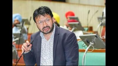 Dr Ravjot Singh appealed to Punjab-origin MPs in Canada to collectively raise the issue with the Canadian government on humanitarian grounds. (HT File) Dr Ravjot Singh appealed to Punjab-origin MPs in Canada to collectively raise the issue with the Canadian government on humanitarian grounds. (HT File)