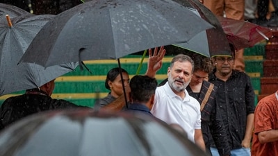 Rahul Gandhi is scheduled to leave New Delhi at 2 pm on August 8 and reach Prayagraj by 3:15 pm. (File Photo/PTI)