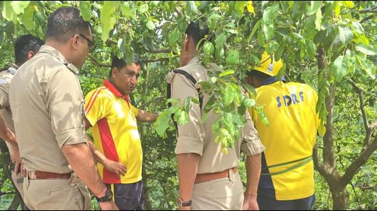 Afzal, a 49-year-old contractor, was travelling to Pauri with his family in a Bolero jeep when the accident took place near the Kundadhar–Sabdarkhal area.
