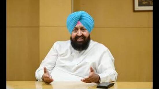 Bajwa dismissed the government’s claim that there was no illegal mining in the state. (HT File)