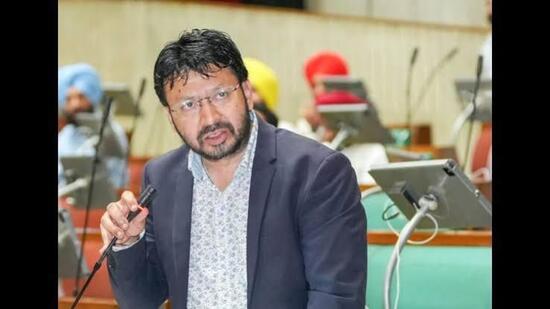 Dr Ravjot Singh appealed to Punjab-origin MPs in Canada to collectively raise the issue with the Canadian government on humanitarian grounds. (HT File)