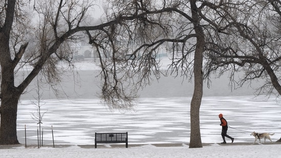 Previous Polar Vortex disruptions have been associated with colder-than-average temperatures and increased snowfall across parts of the US, Canada and Europe.