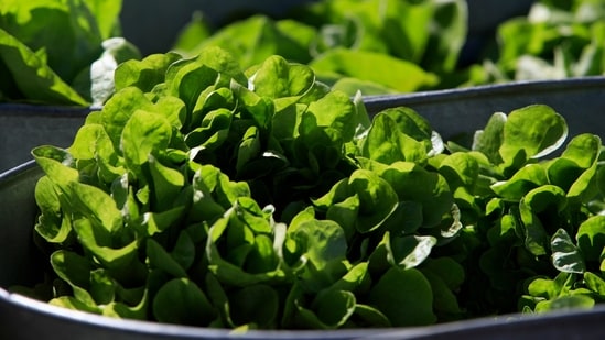 Myoglobin is the molecule that plant-based meats have struggled hardest to replicate.