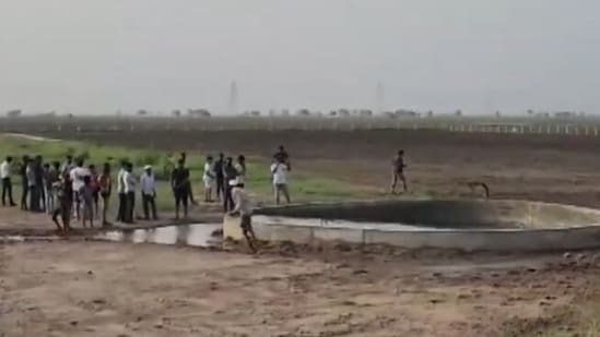 The unusual phenomenon from Virparda village has sparked widespread curiosity online