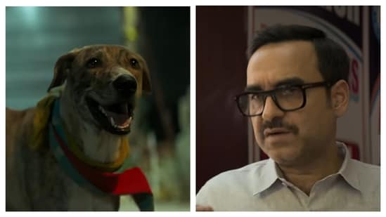 Ohh My Dog tells the story of two separated pups, Momo and Oscar, as their humans search for them.