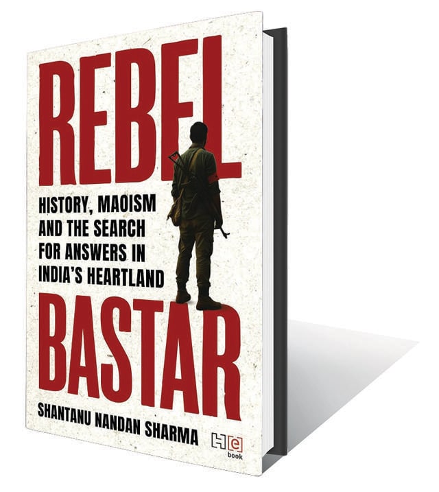 313pp, ₹799; Hachette India 313pp, ₹799; Hachette India