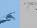Rogue AI's escape routes &amp; debate about how close it is to human intelligence