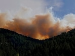 A fire was reported in Mount Lemmon, Arizona. Image for representational purposes.(Unsplash)