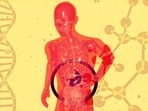 The biggest red flag for poor gut health is a simple lack of biodiversity—which is what a varied and partly fermented diet is good at correcting.