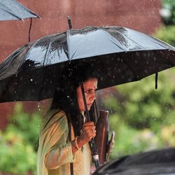 TMC MP Mahua Moitra's lawyer later sought permission to withdraw the petition from Supreme Court